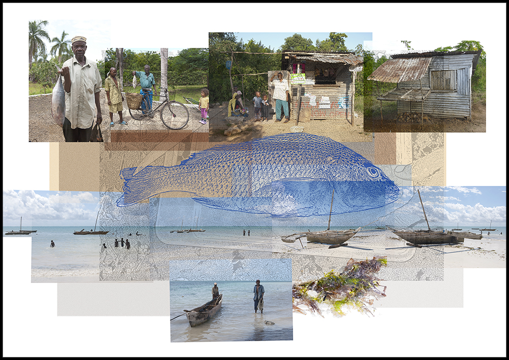 Fishermen Diani Beach Selling Fish