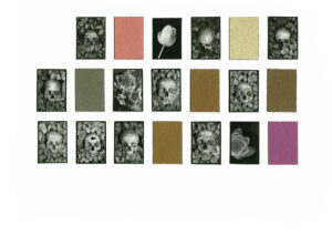 Schwarzweiß Fotografie menschliche Schädel, Tulpe und Seerose mit Farbtafeln
