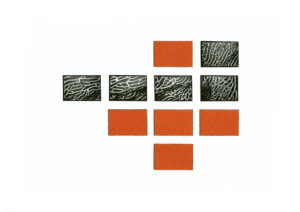 Feuerkoralle schwarzweiß Forografie orange Farbtafel