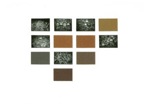 Menschenknochen schwarzweiß Fotografien mit 6 Farbtafeln verschiedene Graubrauntöne