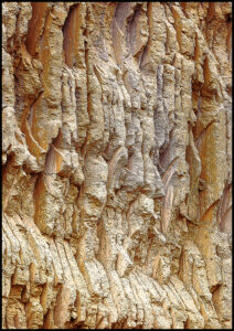 Steinbruchwand in Kenia. Man sieht die runden vertikalen Sägeeinschnitte der Sägeblätter.
