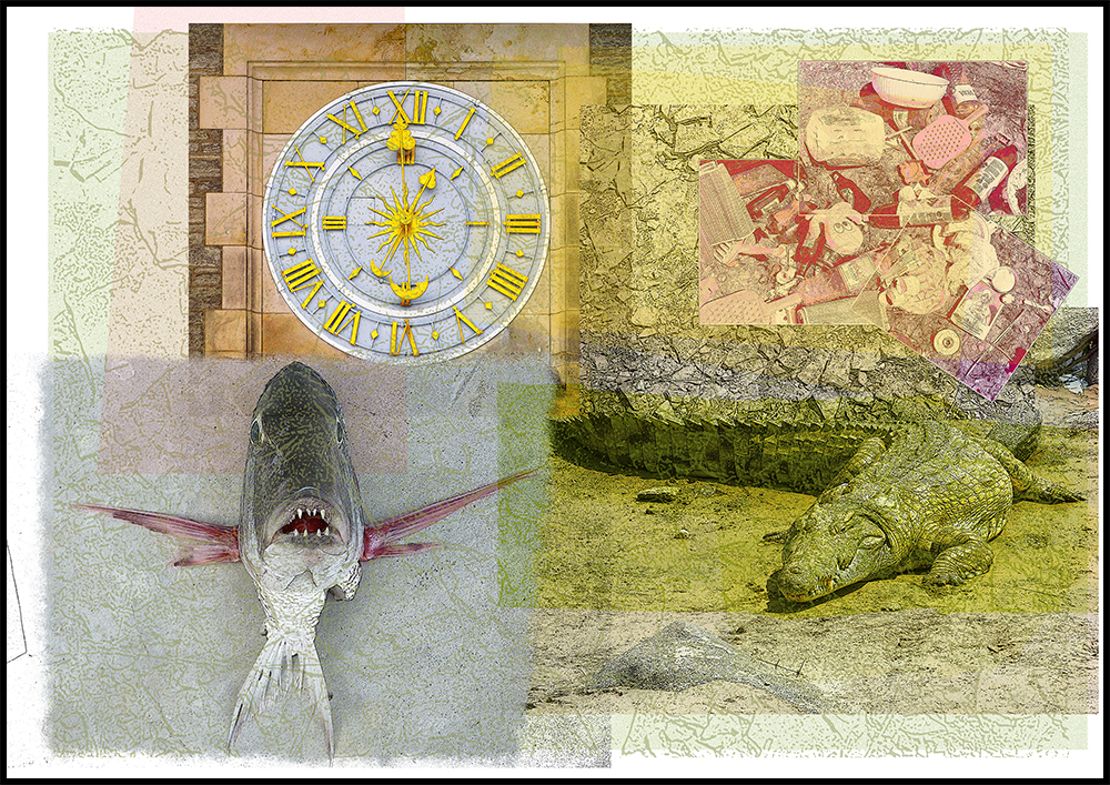 Collage aus Fotos, Zifferblatt einer Turmuhr, Müllhaufen, Fisch in Frontalansicht mit spitzen Zähnen, ein Krokodil lauert am Ufer auf Beute