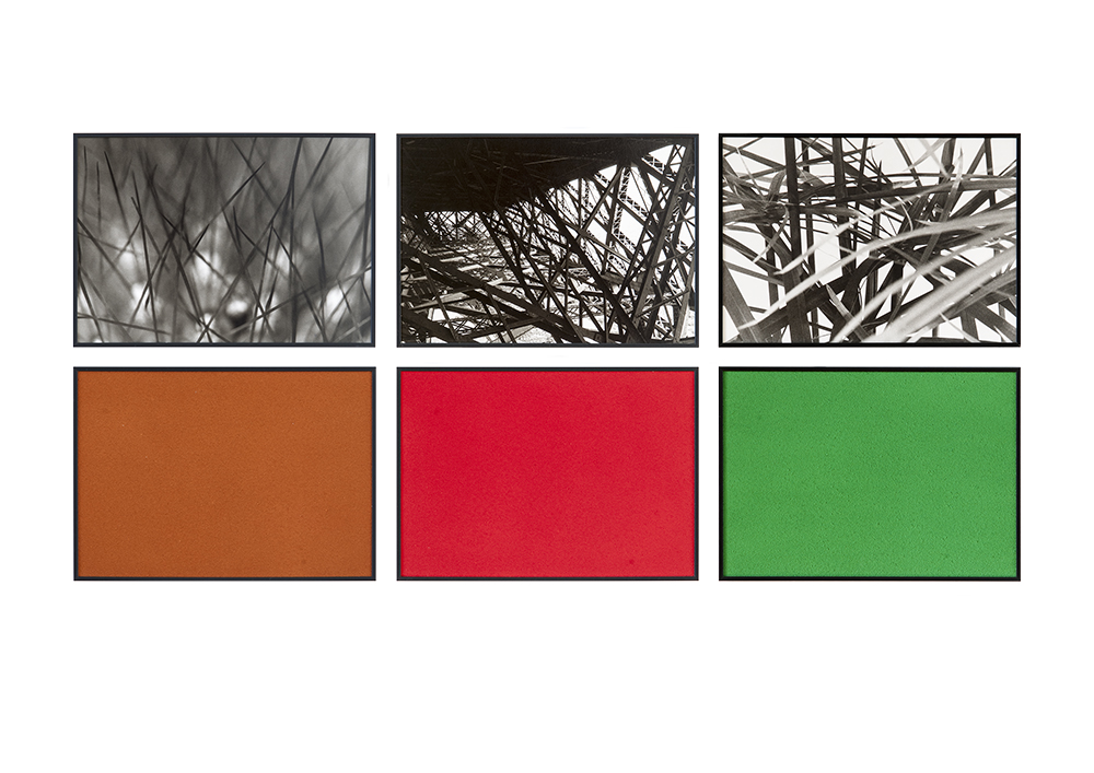 6-teiliges Bild mit Schwarzweiß Fotos von Kaktusstacheln, Eiffelturmgestänge und Blätter des Palmengrases. Dazu monochrome Farbtafeln in orangebraun, rot und grün