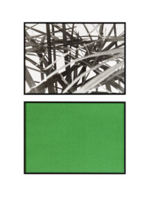 Schwarzweiß Foto Ausschnitt von Blättern des Palmengrases