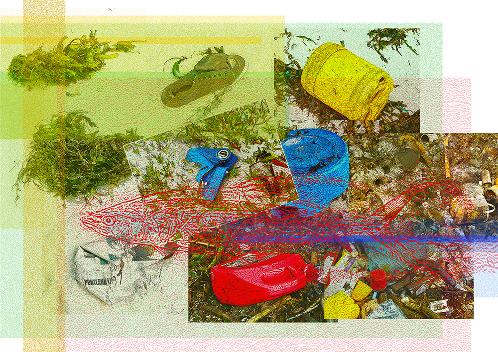 Collage mit Fotos von Plastikmüll und Allgenhaufen, sowie Überreste von verbranntem Müll am Strand eines Mangrovengebietes