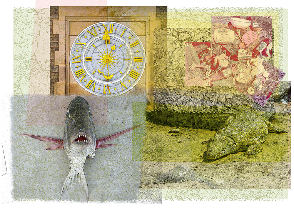 Collage aus Fotos, Zifferblatt einer Turmuhr, Müllhaufen, Fisch in Frontalansicht mit spitzen Zähnen, ein Krokodil lauert am Ufer auf Beute