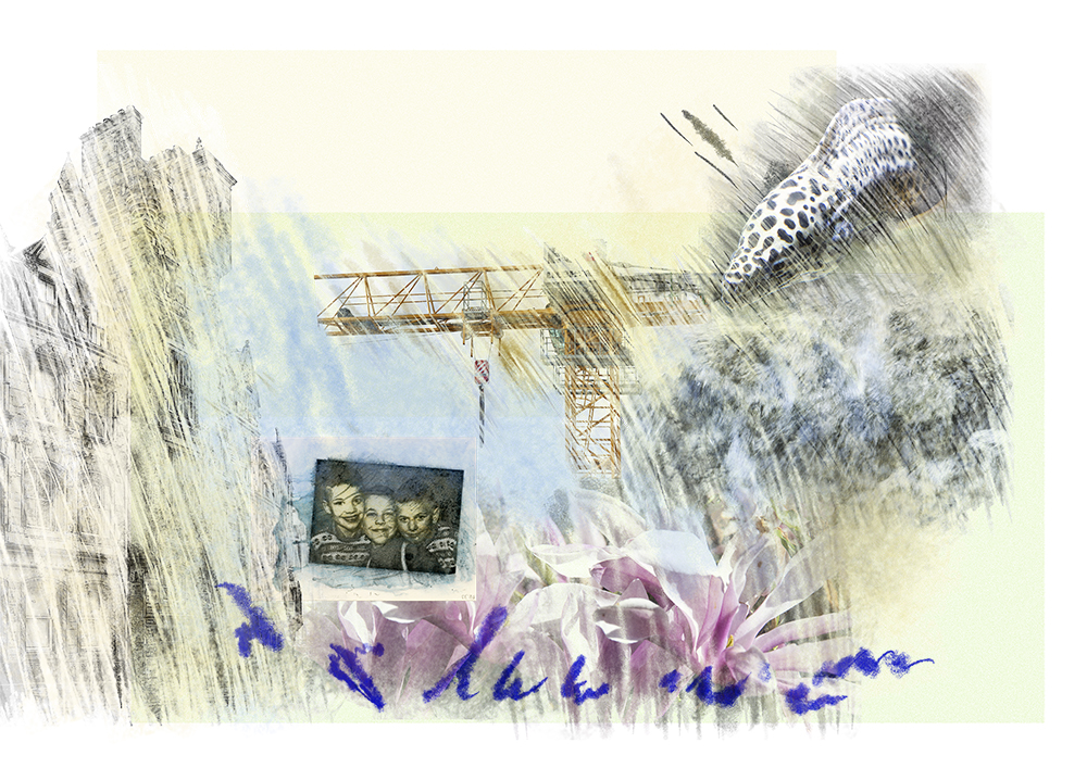 Bildcollage aus Fotos von Achitektur Edinburgh, Muräne, Wasser, Magnolien und Baukran