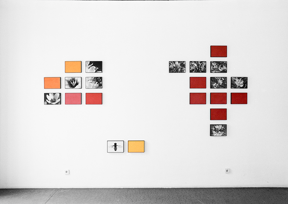 Ausstellung im Haus Wittgenstein, Wien, 1995